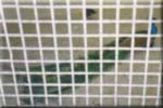 Jossain puistossa - ei oikein saanutkaan hyv�� kuvaa verkon l�pi :-(