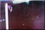 Sateen j�lkeen muurahaiset nousivat luolistaan. Niit� oli PALJON.