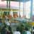 23.04.2000:Keskell� p�yd�ll� on seurueen tuomat lahjat. P��munkilla on pingismaila naaman edell� ja h�n puhuu hindi� - jota kukaan ei ymm�rr�.